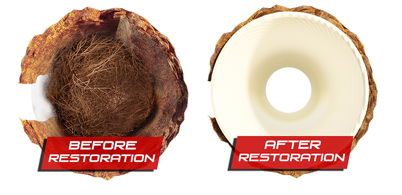 before-and-after-trenchless-drain-repair